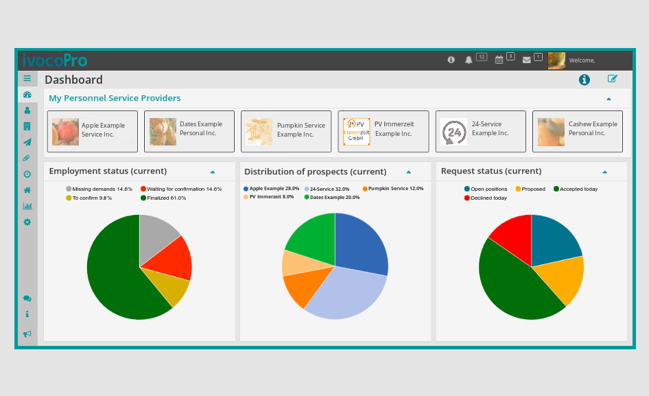 ivocoPro: An overview with favoured suppliers and diagrams of the current assignment, personnel distribution and tendering status